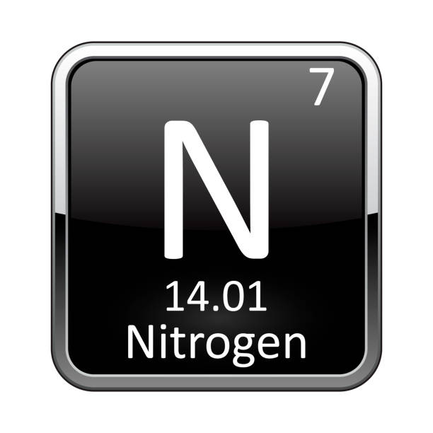 The Abundance of Nitrogen