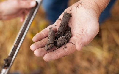 Soil Tests, What Good Are They?