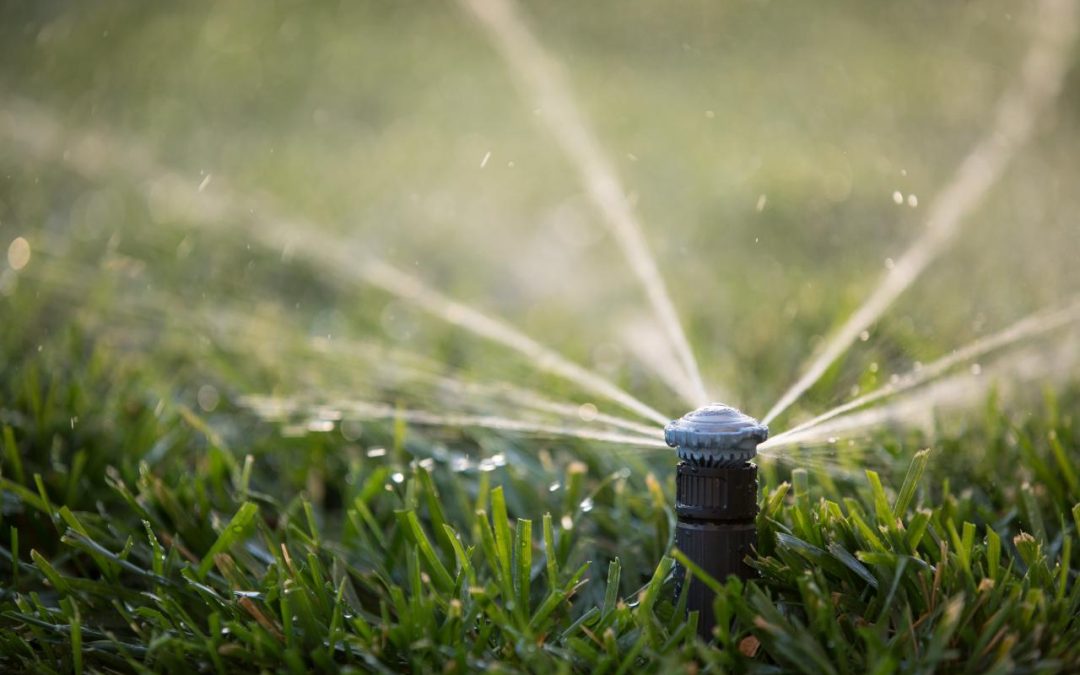 Avoid lawn dehydration this spring, now you have an option!